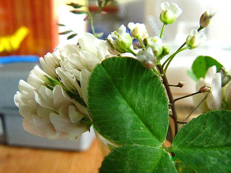 http://migrated.ifokus.se/uploads/f46/f468ec056965c844e6bb0eb8d4a16198/vidvinkel-utan-lins.jpg